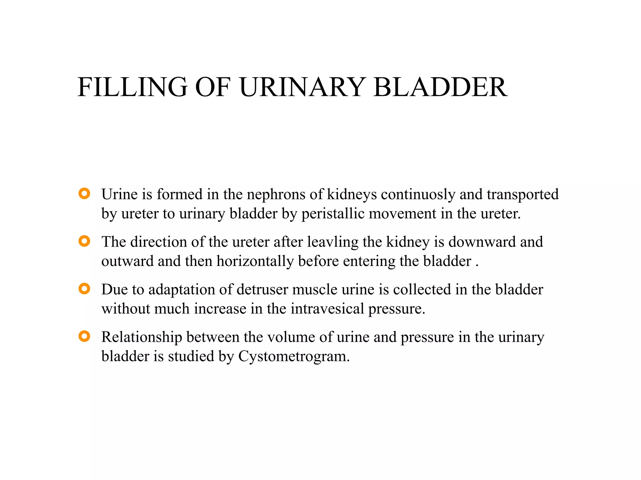 FILLING OF URINARY BLADDER
 Urine is formed in the nephrons of kidneys continuosly and transported
by ureter to urinary bladder by peristallic movement in the ureter.
 The direction of the ureter after leavling the kidney is downward and
outward and then horizontally before entering the bladder .
 Due to adaptation of detruser muscle urine is collected in the bladder
without much increase in the intravesical pressure.
 Relationship between the volume of urine and pressure in the urinary
bladder is studied by Cystometrogram.
 