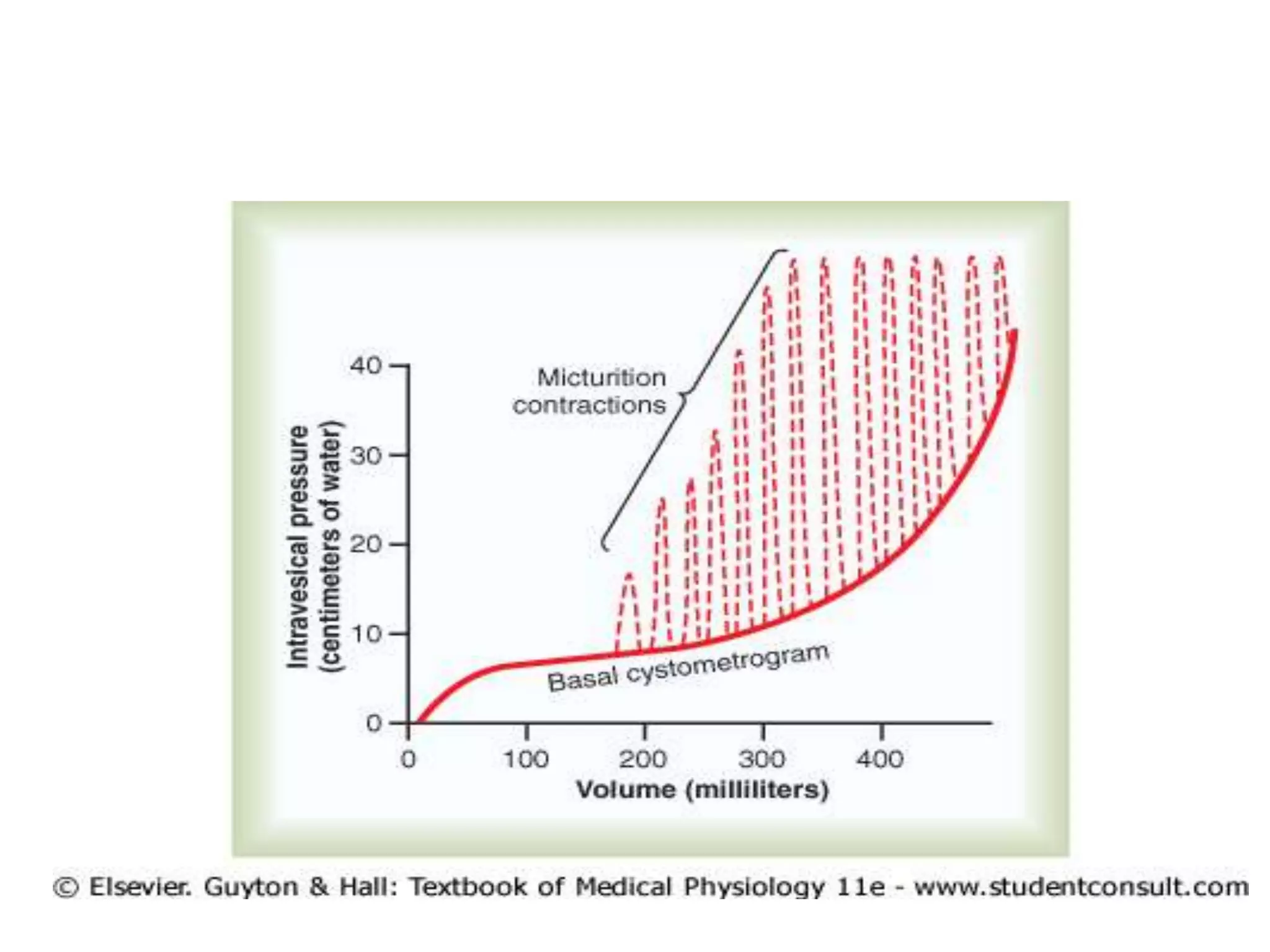 Normal Cystometrogram and Micturition
Reflex
 