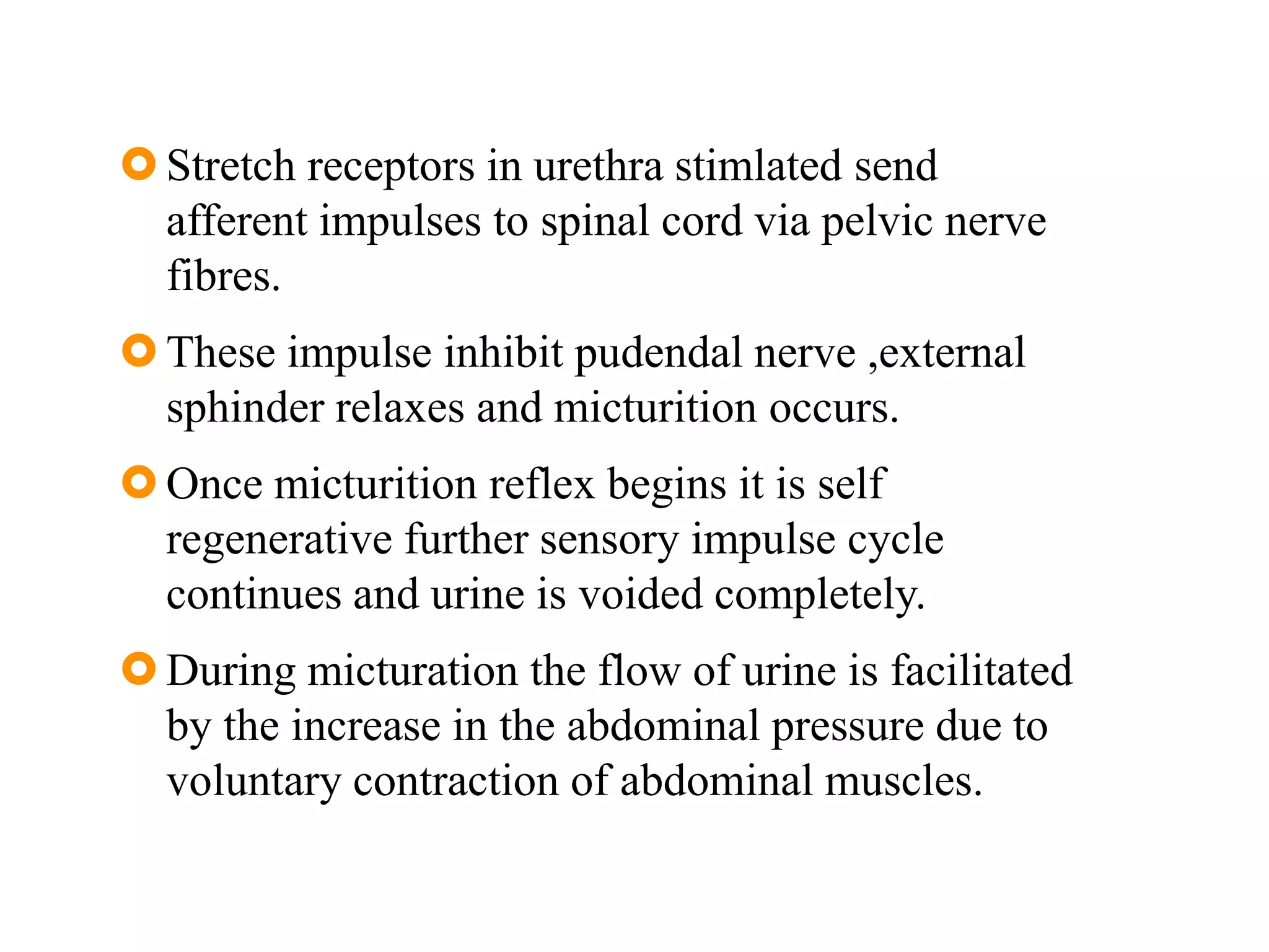 Stretch receptors in urethra stimlated send
afferent impulses to spinal cord via pelvic nerve
fibres.
These impulse inhibit pudendal nerve ,external
sphinder relaxes and micturition occurs.
Once micturition reflex begins it is self
regenerative further sensory impulse cycle
continues and urine is voided completely.
During micturation the flow of urine is facilitated
by the increase in the abdominal pressure due to
voluntary contraction of abdominal muscles.
 