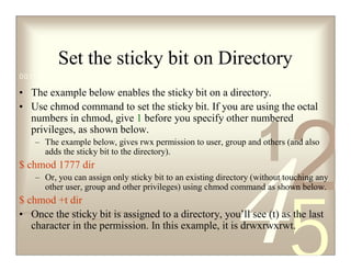 Sticky bit suid sgid | PDF | Operating Systems | Computer Software and ...