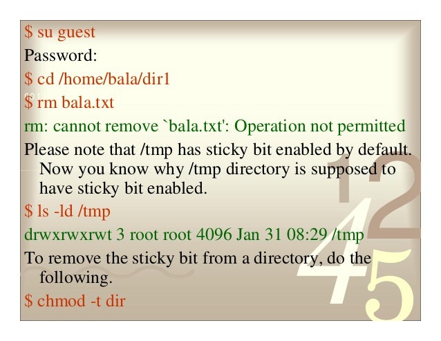 Chmod 777 operation not permitted