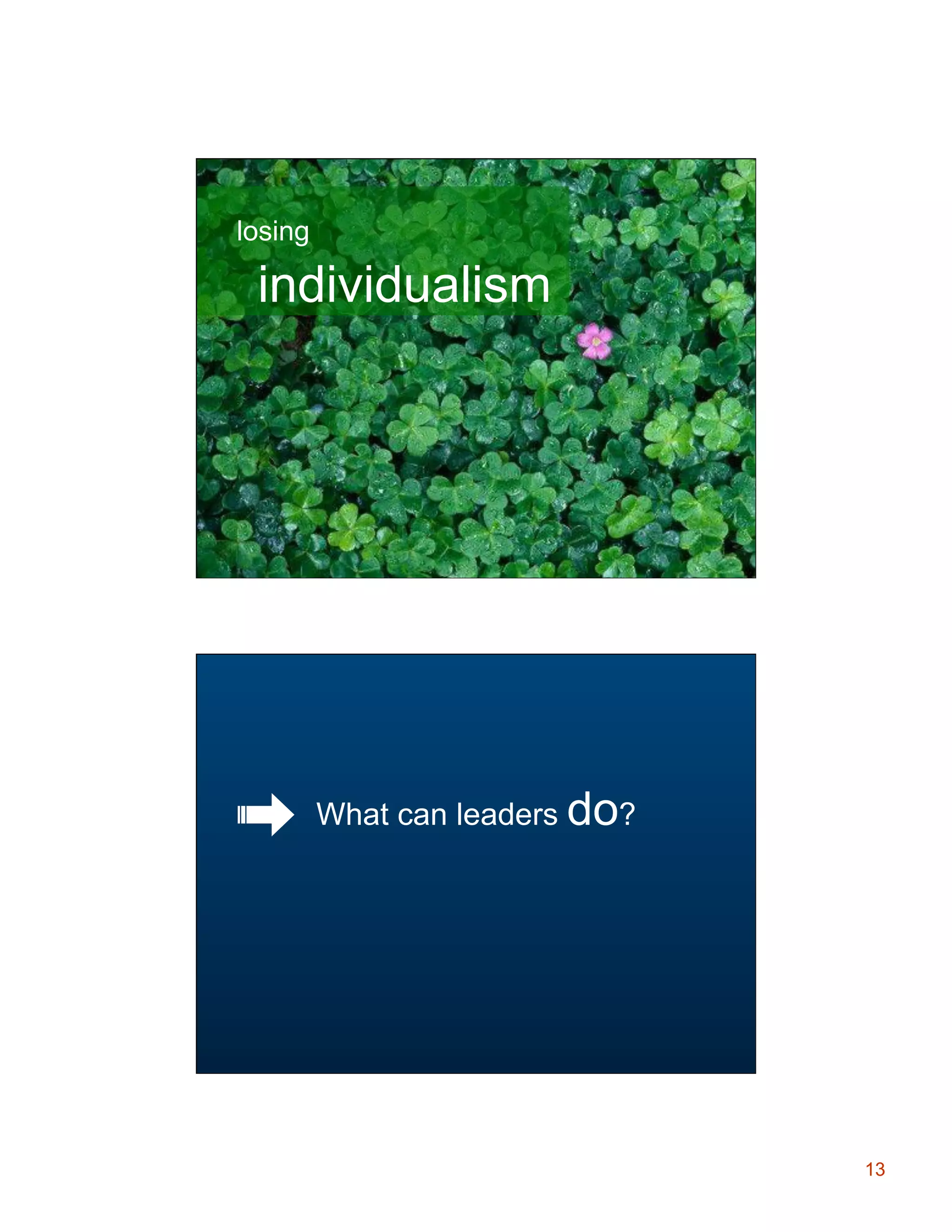 losing

individualism

Leadership Role
What can leaders do?

13

 