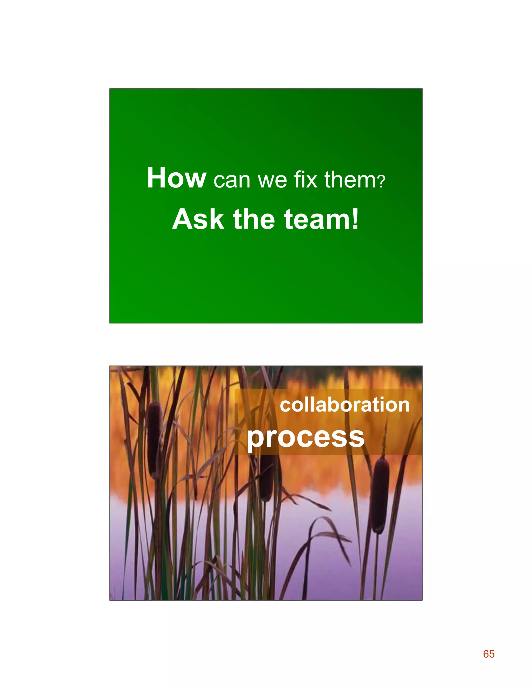 Leadership Role

How can we fix them?
Ask the team!

Project Management

collaboration

process

§  Dependency Management

65

 