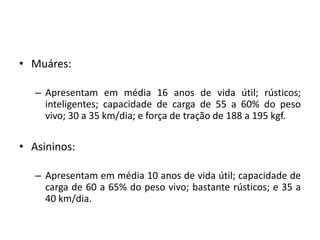 M+íquinas Agr+¡colas Fontes de potencia na agricultura.pdf