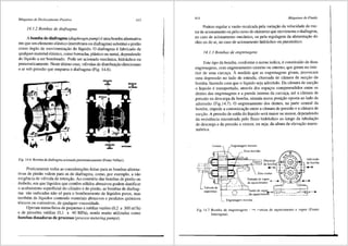 Mdquinas de Deslocamento Positivo 413
14.1.2 Bambas de diafragma
A bomba de diafragma (diaphragm pump) e uma bomba alternativa
em que um elemento elftstico (membrana ou diafragma) substitui o pistao
como 6rgao de movimentar;ao do liquido. 0 diafragma e fabricado de
qualquer material elftstico, como borracha, plftstico ou metal, dependendo
do lfquido a ser bombeado. Pode ser acionado mecfinica, hidrftulica ou
pneumaticamente. Neste Ultimo caso, vfilvulas de distribuir;ao direcionam
oar sob pressao que empurra o diafragma (Fig. 14.6).
Fig. 14.6 Bomba de diafragma acionada pneumaticamente (Fonte:Vallair).
Praticamente todas as considerar;6es feitas para as bombas alterna-
tiv_as~de_pistao valem para as de diafragma, como, por exemplo, a nao
:x1genc1a de valvula de retenr;ao. Ao contrfilio das bombas de pistao OU
embolo, em que lfquidos que contem s61idos abrasivos podem danificar
o aca~a~en~o supe~cia: do cilindro e do pistao, as bombas de diafrag-
ma sao ind1cadas nao so para o bombeamento de lfquidos puros, mas
t~~bem de lfqui~os contendo materiais abrasives e produtos qufmicos
tox1cos ou corros1vos, de qualquer viscosidade.
Operam numa faixa de pequenas a medias vaz6es (0,2 a 300 m3/h)
e de press6es medias (0,1 a 40 MPa), sendo muito utilizadas como
bombas dosadoras de processo (process metering pumps).
414 Mdquinas de-Fluido
Podem regular a vazao recalcada pela variar;ao da velocidade do mo-
tor de acionamento ou pelo curso do elemento que movimenta o diafragma,
no caso de acionarnento mec3.nico1
ou pela regulagem da alimentar;ao do
Oleo ou do ar, no caso de acionamento hidriulico ou pneum:itico.
14.l.3 Bambas de engrenagens
Este tipo de bomba, conforme o nome indica, e constitufdo de duas
engrenagens, com engrenamento externo ou interno, que giram no inte-
rior de uma carcar;a. A medida que as engrenagens giram, provocam
uma depressao no lado de entrada, chamada de cfunara de sucr;ao da
bomba, fazendo com que o lfquido seja admitido. Da cfunara de sucr;ao
o liquido e transportado, atraves dos espar;os compreendidos entre os
dentes das engrenagens e a parede interna da carcar;a, ate a c8.mara de
pressao na descarga da bomba, situada numa posir;ao oposta ao lado de
admissao (Fig.14.7). 0 engrenamento dos dentes, na parte central da
bomba, impede a comunicar;ao entre a cfunara de pressao ea camara de
sucr;ao. A pressao de saida do lfquido ser:i maior ou menor, dependendo
da resistencia encontrada pelo fluxo hidr3.ulico ao longo da tubular;ao
de descarga e da pressao a veneer, ou seja, da altura de elevar;ao mano-
metrica.
segurano;a
Engrenagem rnotora
Eixo rnovido
Descarga
da bornba
4---"'
Admissiio
da bornba
.....,.
;'-. ,Saidadevapor _J:--...,-...1__ ____.e:_-~-- ....
____ ~'-::.:!~ ______ :de aquecimen~~-=_-:::_--:_-:_::-::,:.:-::_~_-_-_j=
Engrenagem movida
Fig. 14.7 Bomba de engrenagens '''"1 r:i.misa de aquecimento a vapor (Fonte:
Intersigma).
 