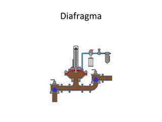 Diafragma
 