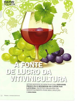 A fonte de lucro da vitivinicultura