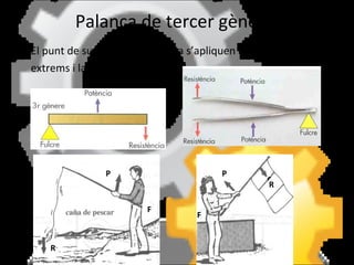 Palanca de tercer gènere  El punt de suport i la resistència s’apliquen als extrems i la potencia enmig. R F P P F R 