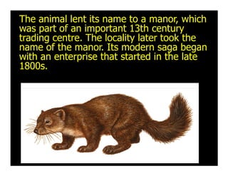 M Quiz Finals College