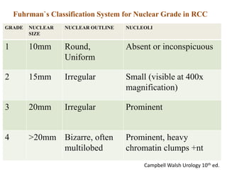 Rcc Classification Renal_cell_carcinoma_ppt_Akhil.pptx