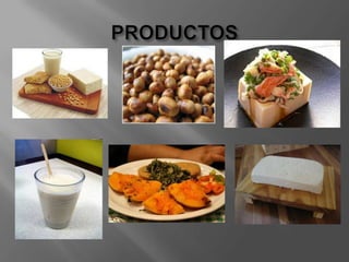PRODUCTOS