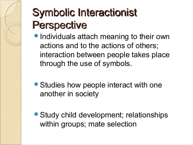 interactionist perspective