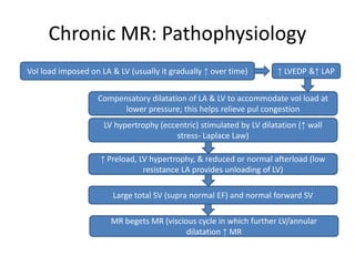 Chronic MR: Pathophysiology
Vol load imposed on LA & LV (usually it gradually ↑ over time)
Large total SV (supra normal EF) and normal forward SV
MR begets MR (viscious cycle in which further LV/annular
dilatation ↑ MR
↑ Preload, LV hypertrophy, & reduced or normal afterload (low
resistance LA provides unloading of LV)
↑ LVEDP &↑ LAP
Compensatory dilatation of LA & LV to accommodate vol load at
lower pressure; this helps relieve pul congestion
LV hypertrophy (eccentric) stimulated by LV dilatation (↑ wall
stress- Laplace Law)
 