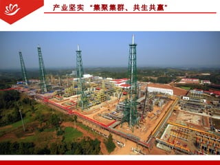 产业坚实 “集聚集群、共生共赢”
 