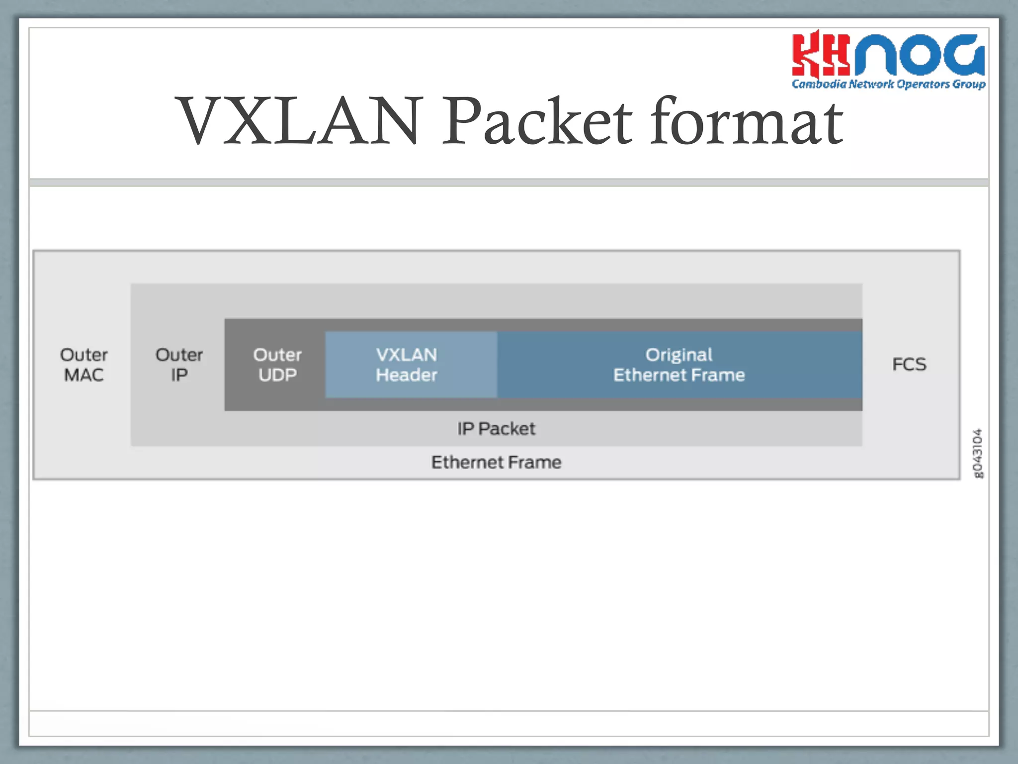 VXLAN Packet format
• LSRs forward packets based on label and swap labels:
- The last LSR in the path also removes the label
and forward the IP packets as normal IP Routing