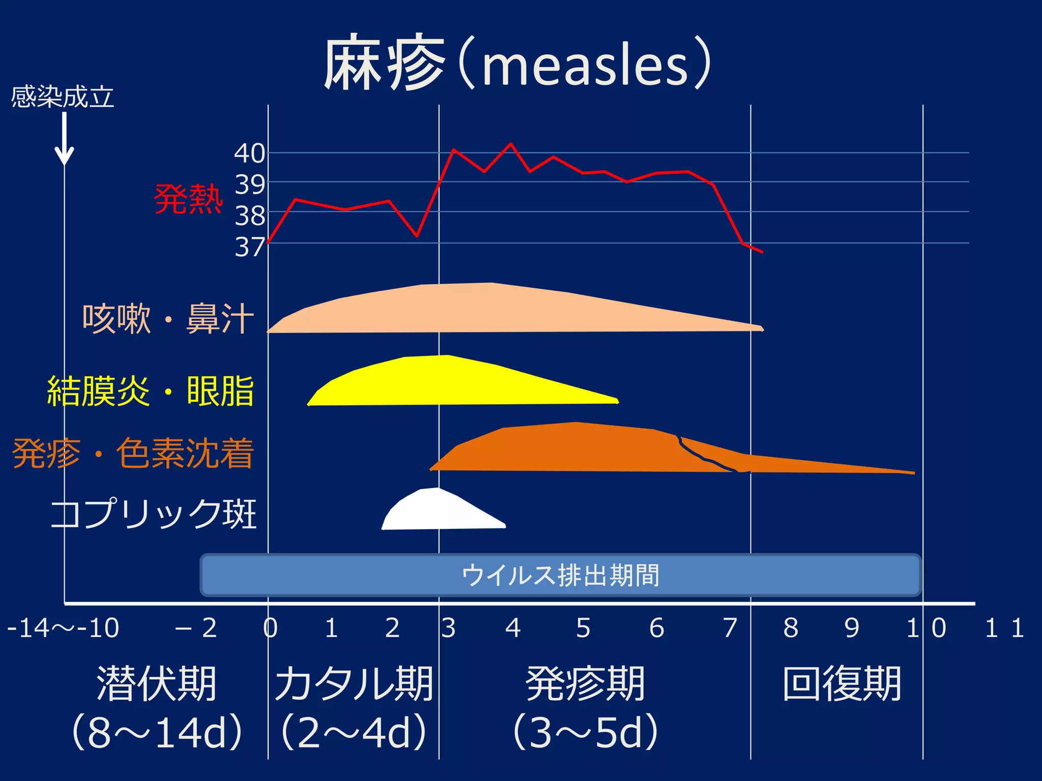 麻疹風疹について | PPTX