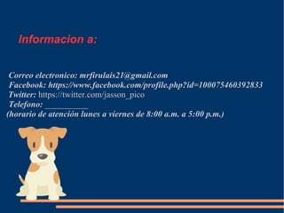 Informacion a:
Correo electronico: mrfirulais21@gmail.com
Facebook: https://www.facebook.com/profile.php?id=100075460392833
Twitter: https://twitter.com/jasson_pico
Telefono: __________
(horario de atención lunes a viernes de 8:00 a.m. a 5:00 p.m.)
 