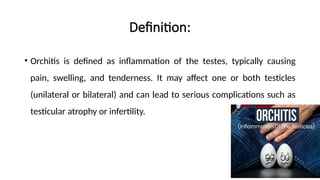 male reproductive system (BSc nursing (n) | PPTX