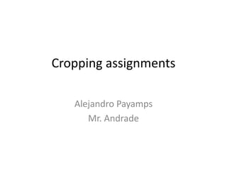 Cropping assignments

   Alejandro Payamps
      Mr. Andrade
 