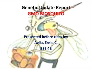 Genetic Update Report
  GMO MOSQUITO



Presented before class by:
      Avila, Ernie C.
          BSE 4B
 