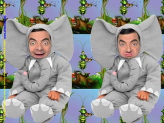 © All Rights Reserved over the work in PowerPoint  by DOINA & under  www.slideshare.net  protection