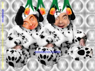 © All Rights Reserved over the work in PowerPoint  by DOINA & under  www.slideshare.net  protectionwww.slideshare.net/doina