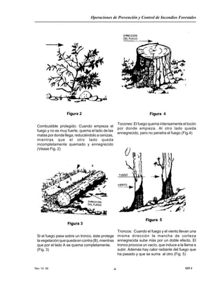 Rev 10- 06
Operaciones de Prevención y Control de Incendios Forestales
MR 4-4-
Combustible protegido: Cuando empieza el
fuego y no es muy fuerte, quema el lado de las
matas por donde llega, reduciéndolo a cenizas,
mientras que el otro lado queda
incompletamente quemado y ennegrecido
(Véase Fig. 2)
Si el fuego pasa sobre un tronco, éste protege
lavegetaciónquequedaencontra(B),mientras
que por el lado A se quema completamente.
(Fig. 3)
Tocones: El fuego quema intensamente el tocón
por donde empieza. Al otro lado queda
ennegrecido, pero no penetra el fuego (Fig.4)
Troncos: Cuando el fuego y el viento llevan una
misma dirección la mancha de corteza
ennegrecida sube más por un doble efecto. El
tronco provoca un vacío, que induce a la llama a
subir. Además hay calor radiante del fuego que
ha pasado y que se suma al otro (Fig. 5)
 