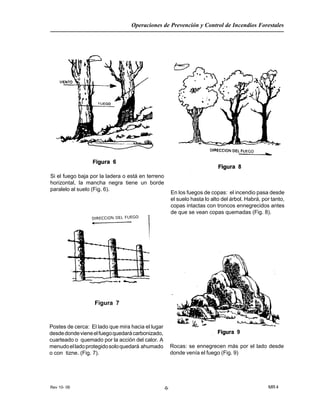 Rev 10- 06
Operaciones de Prevención y Control de Incendios Forestales
MR 4-5-
En los fuegos de copas: el incendio pasa desde
el suelo hasta lo alto del árbol. Habrá, por tanto,
copas intactas co
de que se vean c
Figura 7
ar
o,
Postes de cerca: El lado que mira hacia el lug
n troncos ennegrecidos antes
opas quemadas (Fig. 8).
Si el fuego baja por la ladera o está en terreno
horizontal, la mancha negra tiene un borde
paralelo al suelo (Fig. 6).
desdedondevieneelfuegoquedarácarbonizad
cuarteado o quemado por la acción del calor. A
menudoelladoprotegidosoloquedará ahumado
o con tizne. (Fig. 7).
Rocas: se ennegrecen más por el lado desde
donde venía el fuego (Fig. 9)
 