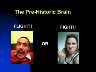 The Pre-Historic Brain

FLIGHT!!         FIGHT!!


           OR
 