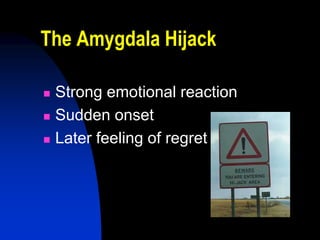 The Amygdala Hijack

   Strong emotional reaction
   Sudden onset
   Later feeling of regret
 