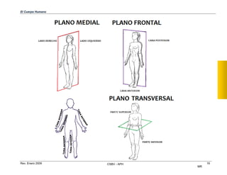 El Cuerpo Humano
Rev. Enero 2009 CSBV - APH
MR
16

 