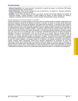 El Cuerpo Humano
- Sistema Esquelético: los huesos proveen la protección y soporte del cuerpo. Lo co
entre ellos huesos largos, cortos y planos.
- Sistema Muscular: Cuya función principal es el de la locomoción y se dividen en:
músculos involuntarios y músculo cardiaco.
- Sentidos: forman parte del sistema nervioso y son cinco: el gusto (nos permite det
sustancias líquidas y sólidos disueltos), el olfato (detecta los olores), la visión (p
imágenes), la audición (permite escuchar) y el tacto (receptor de temperatura, textura, re
RREELLAACCIIOONNAANNDDOO LLAASS EESSTTRRUUCCTTUURRAASS AALL CCUUEERRPPOO
Cuando esté frente a su cuerpo (espejo) y al de otros, trate de visualizar dónde se localiz
estructuras (órganos, partes de los sistemas circulatorio y nervioso). Su deber es conoc
estructuras. Visualizar la posición del diafragma -que separa tórax de abdomen- le ayud
entender cómo calzan los numerosos órganos y glándulas en el cuerpo. Busquemos la po
la cavidad torácica. Como punto rápido de referencia, ubique el reborde costal y continú
nforman 206 huesos
músculos voluntarios,
ectar los sabores de
ermite ver colores e
sistencia).
an, interiormente, las
er dónde están esas
ará en gran manera a
sición del corazón en
e por él hasta llegar a
la parte inferior del esternón -apéndice xifoides-, coloque dos dedos justo por encima de este punto, es ahí
donde se encuentra el corazón por detrás del esternón. A la altura del apéndice xifoides es donde el esófago
tubo que une la boca con el estómago- entra al estómago inmediatamente después de haber atravesado el
diafragma. Durante su entrenamiento, cada vez que se vea en un espejo, trate de visualizar dónde se
encuentra su corazón. Los pezones son un buen punto de referencia para determinar la posición de los
pulmones. Las costillas inferiores protegen al estómago y al hígado. La primera porción del intestino delgado
es el duodeno, es importante en medicina de emergencia, porque se mantiene en una posición más rígida que
el resto del intestino delgado y los golpes fuertes en el abdomen, por ejemplo accidentes automovilísticos,
pueden causarle daños importantes. Podrá ahora aprender rápidamente las posiciones de otras tres
estructuras. Piense que la vesícula biliar se encuentra detrás del hígado en su parte media, el páncreas se
coloca detrás de la parte inferior del estómago y el bazo se coloca al lado izquierdo del estómago. El intestino
delgado ocupa la mayoría de la cavidad abdominal. Estas descripciones no son lo suficientemente buenas para
un estudiante de anatomía, pero son muy útiles para quien proporciona SBV en una situación de emergencia.
Rev. Enero 2009 CSBV - APH MR 19
 