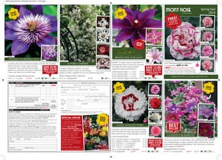 SAVE £10.00! 
ONLY £14.98 
collection includes 
three of each variety 
scented 
perfect pergola/Arch Collection 
6253 5 x young plants £9.99 
A perfect duet of two of the best double clematis. The stunning 
blend of flowers create a truly romantic 
and gentle colour pallet. Ideal for larger 
gardens or containers, they give exceptional 
colour and interest all summer long! 
Clematis Double flowered Duo 
6146 2 x 7cm pots £19.98 £10.98 ◊ 2 to Z 
8m 
Sun or 
part shade 
SAVE 
£13.00! 
MONT ROSE 
of Guernsey 
FREE! 
5 Perfumed Pinks 
(worth £7.99) 
with every order! 
BEST 
SELLER 
A fresh new look for our best-seller, this collection is now a mix of 
two complementing, compact varieties, bijou and picardy. Create 
professional looking hanging displays. Also stunning in containers, 
given support to 60-80cm. 
Hanging basket Clematis 
6170 3 x 7cm pot plants £29.97 £16.97 
DOubLE fLOwERED DuO 
4327 perfumed pinks Collection 
5 x plug plants (RRp £7.99) 
FRee when you place an order! 
Includes one each of Gran’s favourite, Letitia 
wyatt, Monica wyatt, Doris & Moulin Rouge. 
Additional packs available at full price of £7.99 (please use code 4328) 
◊ Z a 0.9 to 
1.2m 
Flower s 
May-Jul 
Sun or 
part shade 
ORDER HOTLINE (Lo-call Rate) 0844 847 9452 
CLEMATIS fOR bASkETS! 
SAVE £9.00! 
ONLY £10.98 
collection includes one 
of each variety 
◊ 2 to a Z 
3m 
Flowers 
May-Jun & Aug-Sep 
Sun or 
part shade 
I enclose a cheque made payable to ‘Mont Rose of Guernsey Ltd’ for the total amount of 
(Please ensure your name and address are written on the back of the cheque) 
OR Please charge the amount of to my: 
Mastercard Visa Maestro (Switch) (please tick box) 
(Last 3 digits for Maestro (Switch) cards only) 
Code Description Price Qty £ 
4327 
FREE! PACK OF 5 YOUNG PINKS PLANTS 
WITH EVERY ORDER (RRP £7.99) FREE 1 FREE 
2275 
Summer Flowering Bulbs Bumper Pack (100) 
This is a special promotional price when 
you place any order and is limited to one 
pack per order SAVING YOU £17! 
£6.99 1 
SUB TOTAL 
POSTAGE & PACKAGING £2.95 
I HAVE SPENT OVER £30 AND QUALIFY FOR FREE P&P! 
GRAND TOTAL 
HOW TO ORDER 
Simply indicate the plants you would like by completing the ‘Qty’ and ‘£’ boxes throughout 
the order form. Fully complete the order form, including payment details and send your 
payment (cheque, P.O., credit/debit card details) to us at Mont Rose of Guernsey Ltd, 
Dept MR20, PO Box 30, St. Leonards-on-Sea, East Sussex, TN38 9YQ. 
If paying by cheque, please ensure your name and address are written on the back of the 
cheque. Please make cheques payable to ‘Mont Rose of Guernsey Ltd’. 
If paying by credit/debit card, please ensure all your card details are clearly written on the 
order form, including your card number, expiry date and security code. 
ORDER HOTLINE (Lo-Call Rate): 0844 847 9452. 9am-5pm Monday to Friday, except 
Bank Holidays and Public Holidays. Please quote ‘MR20’. We suggest that you complete 
the order form even if you are ordering by phone so you have all the information to hand. 
Your contract of supply is with Mont Rose of Guernsey Limited, a company incorporated in Guernsey, 
Company Registration Number 48359. Registered Company Office Address: Domarie Vineries, Les 
Sauvagees, St Sampsons, Guernsey, Channel Islands, GY2 4FD. All orders will be delivered by Royal Mail. 
Open to UK customers only, please allow 28 days for delivery. All products are subject to availability or 
you will be acknowledged with your delivery date. In the event of over-subscription a product of equal or 
higher value will be substituted. Terms and conditions available on request. 
Card No: 
Card 
Start Date: 
Security 
Code: 
Date: 
Card 
Expiry Date: 
Signature: 
M 
M Y Y 
D D M M Y Y 
Maestro (Switch) 
Issue No: 
Title Initial Surname 
Address 
Postcode Daytime Tel No 
Home email address 
M M Y Y 
Data Protection 
Please tick if you would prefer not to receive interesting offers from reputable companies 
Please tick if you would not like to receive special offers (including email) 
£ 
£ 
Please tick 
if required 
Please delete 
£2.95 above 
MR18E 
Special OFFeR 
As a big 'thank you' for placing 
an order from this leaflet, you 
can buy one of these BUMpeR 
packs of 100 colourful 
summer flowering bulbs for 
the special price of ONlY £6.99 
(RRp over £25!). Includes 25 
bulbs each of Allium Moly, 
Acidanthera, Oxalis, and 
Ranunculus. A delightful blend 
of bright colours for your 
summer borders and containers. 
plant this year and enjoy them 
for years to come. 
Summer bulb Collection 
2275 100 bulbs SAVE £18 ONLY £6.99! 
WORTH 
OVER 
£25.00! 
SAVE 
£9.00! 
Edda Evipo074 
NEW 
ARRIVAL 
bRAND NEw fOR 2014! 
wOw!! A unique chance to get hold of 3 
of Raymond Evison’s brand new Clematis. 
All single flowered and guaranteed 
impressive garden performance! 
6258 Clematis Edda™ x 1 (7cm) £9.99 
6257 Clematis Tekla™ x 1 (7cm) £9.99 
6259 Clematis Sally™ x 1 (7cm) £9.99 
6256 Clematis Singles Collection £17.97 
SAVE 
£10.00! 
CLOVE SCENTED pINkS 
Clove Scented pinks 
4322 ‘Coconut Sundae’ x 5 young plants £7.99 
4323 ‘Raspberry Sundae’ x 5 young plants £7.99 
4254 ‘Memories’ x 5 young plants £7.99 
4324 ‘pink fizz’ x 5 young plants £7.99 
4325 ‘passion’ x 5 young plants £7.99 
4326 Scent first pinks Collection 
15 x young plants £23.97 £13.97 ◊ Up to Flowers 
Z 
0.5m 
a Apr-Sep 
Full 
Sun 
scented 
A fabulous selection from the award winning 
Scent first series of pinks. Enjoy the wonderful 
clove perfume from spring through to autumn. 
A superb collection of quick, easy and 
colourful climbers. perfect for an archway, 
pergola or trellis. Supplied as five well rooted young plants. 
Piilu™ 
Multi Blue™ 
Clematis Bijou 
Clematis Picardy 
Raspberry Sundae 
Passion 
Memories 
Pink Fizz 
Doris 
Monica Wyatt 
Moulin Rouge 
Letitia Wyatt 
Star Jasmine 
‘Gran’s Favourite’ 
Spring Sale 
2014 
SupERb CLIMbERS 
Jasmine officinale 
Passiflora caerulea 
Clematis Avant-Garde 
Clematis montana Elizabeth 
‘Coconut Sundae’ 
SAVE 12.00! 
ONLY £17.97 
collection includes one 
of each variety 
◊ Z a 0.9 to 
1.5m 
Flowers 
May-Sep 
Sun or 
part shade 
SAVE 
£12.00! 
Sally Evipo077 
R A Y M O N D E V I S O N C L E M A T I S 
Telka Evipo069 
Mr20 Spring Sale 2014_PP40 Flyer 06/12/2013 12:28 Page 1 
