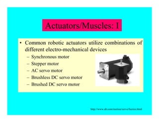 Actuators/Muscles: I
• Common robotic actuators utilize combinations of
different electro-mechanical devices
– Synchronous motor
– Stepper motor
– AC servo motor
– Brushless DC servo motor
– Brushed DC servo motor
http://www.ab.com/motion/servo/fseries.html
 