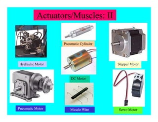 Hydraulic Motor Stepper Motor
Pneumatic Motor Servo Motor
Actuators/Muscles: II
Pneumatic Cylinder
DC Motor
Muscle Wire
 