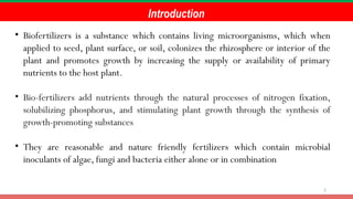 2
Introduction
• Biofertilizers is a substance which contains living microorganisms, which when
applied to seed, plant surface, or soil, colonizes the rhizosphere or interior of the
plant and promotes growth by increasing the supply or availability of primary
nutrients to the host plant.
• Bio-fertilizers add nutrients through the natural processes of nitrogen fixation,
solubilizing phosphorus, and stimulating plant growth through the synthesis of
growth-promoting substances
• They are reasonable and nature friendly fertilizers which contain microbial
inoculants of algae, fungi and bacteria either alone or in combination
 