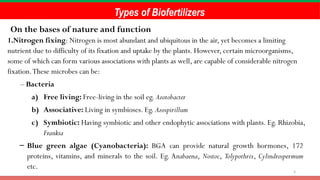 4
Types of Biofertilizers
On the bases of nature and function
1.Nitrogen fixing: Nitrogen is most abundant and ubiquitous in the air, yet becomes a limiting
nutrient due to difficulty of its fixation and uptake by the plants. However, certain microorganisms,
some of which can form various associations with plants as well, are capable of considerable nitrogen
fixation.These microbes can be:
– Bacteria
a) Free living: Free-living in the soil eg. Azotobacter
b) Associative: Living in symbioses. Eg. Azospirillum
c) Symbiotic: Having symbiotic and other endophytic associations with plants. Eg. Rhizobia,
Frankia
– Blue green algae (Cyanobacteria): BGA can provide natural growth hormones, 172
proteins, vitamins, and minerals to the soil. Eg. Anabaena, Nostoc, Tolypothrix, Cylindrospermum
etc.
 
