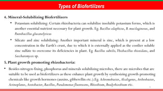 6
Types of Biofertilizers
4. Mineral-Solubilizing Biofertilizers
• Potassium solubilizing: Certain rhizobacteria can solubilize insoluble potassium forms, which is
another essential nutrient necessary for plant growth. Eg. Bacillus edaphicus, B.mucilaginosus, and
Paenibacillus glucanolyticus
• Silicate and zinc solubilizing: Another important mineral is zinc, which is present at a low
concentration in the Earth’s crust, due to which it is externally applied as the costlier soluble
zinc sulfate to overcome its deficiencies in plant. Eg. Bacillus subtilis,Thiobacillus thioxidans, and
Saccharomyces sp.
5. Plant growth promoting rhizobacteria:
• Besides nitrogen-fixing, phosphorus and minerals solubilizing microbes, there are microbes that are
suitable to be used as biofertilizers as these enhance plant growth by synthesizing growth-promoting
chemicals like growth hormones (auxins, gibberellin etc.).Eg. Achromobacter, Alcaligenes, Arthrobacter,
Actinoplanes, Azotobacter, Bacillus, Pseudomonas fluorescens, Rhizobium, Bradyrhizobium etc.
 