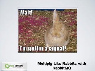 Multiply Like Rabbits with
RabbitMQ
 