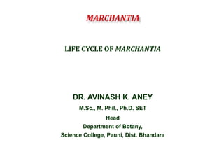 LIFE CYCLE OF MARCHANTIA
DR. AVINASH K. ANEY
M.Sc., M. Phil., Ph.D. SET
Head
Department of Botany,
Science College, Pauni, Dist. Bhandara
 