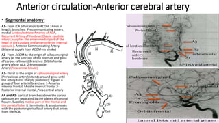 Magnetic Resonance Angiography of head and neck.pptx