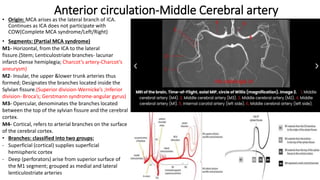 Opercular Infarction Magnetic Resonance Angiography of head and neck.pptx
