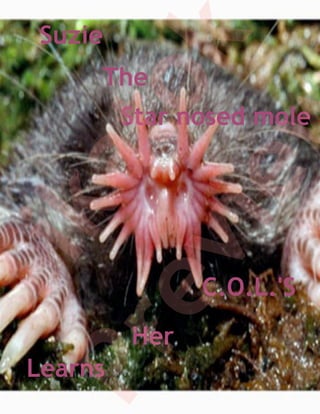 Suzie




            k
        The

         to
         w
            Star nosed mole
     ka
      ie
  ev
   Ti

                  C.O.L.'S
            Her
Pr

   Learns
 