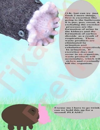 12
   Ti
Pr   ka
         to
  ev
      ie    k
         w
 