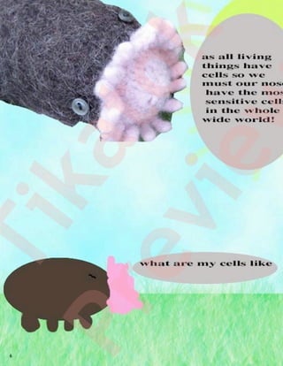 6
   Ti
Pr   ka
         to
  ev
      ie    k
         w
 