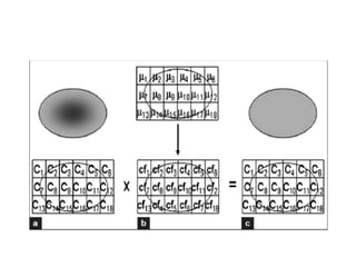 Mr based attenuation correction in pet | PPTX