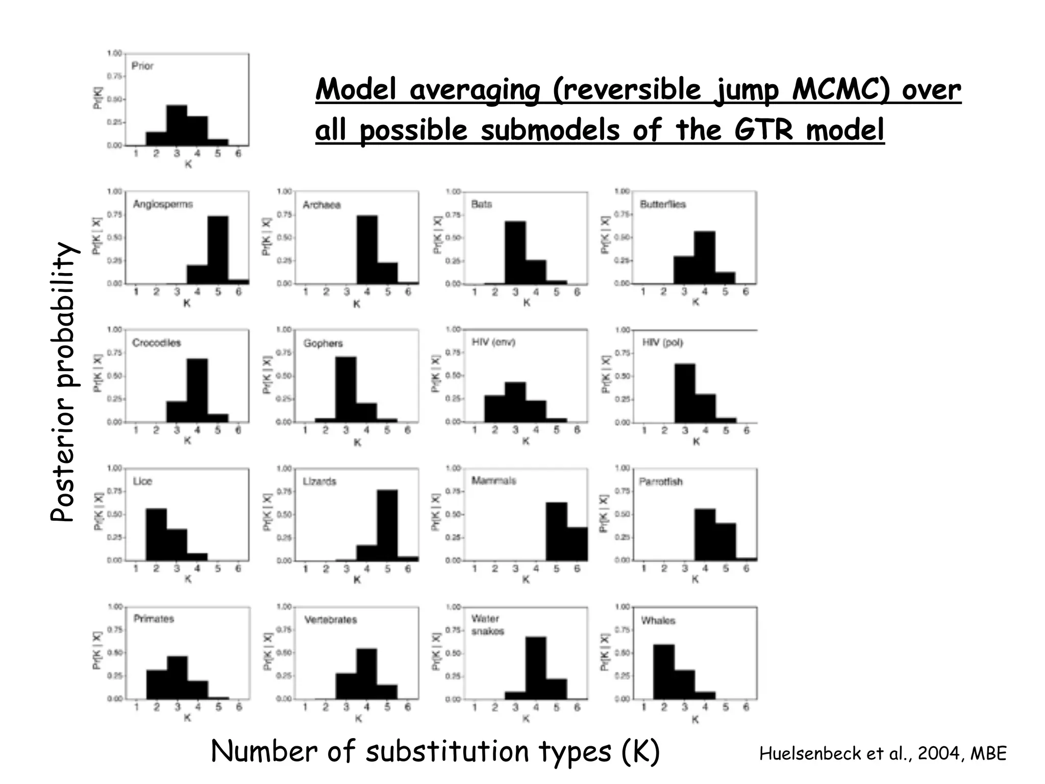 Number of substitution types (K)
Posteriorprobability
Model averaging (reversible jump MCMC) over
all possible submodels of the GTR model
Huelsenbeck et al., 2004, MBE
 
