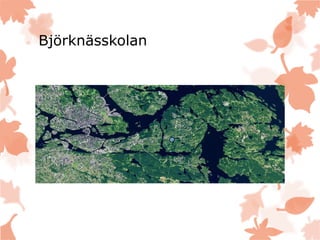 Björknässkolan
 