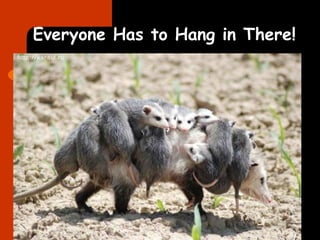 Everyone Has to Hang in There!
 