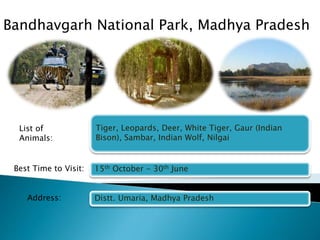Bandhavgarh National Park, Madhya Pradesh 
Tiger, Leopards, Deer, White Tiger, Gaur (Indian 
Bison), Sambar, Indian Wolf, Nilgai 
15th October - 30th June 
Distt. Umaria, Madhya Pradesh 
List of 
Animals: 
Best Time to Visit: 
Address: 
 